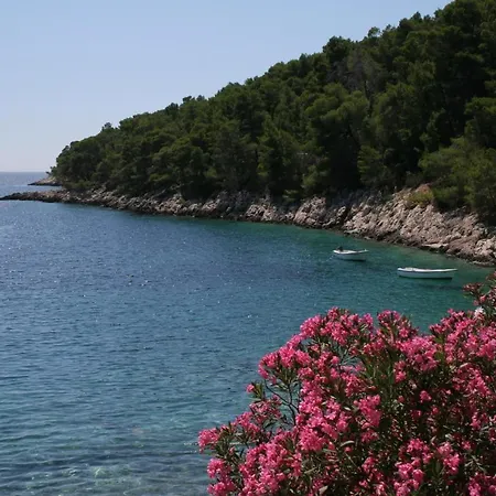Apartment Seaside Secluded Apartments Cove Skozanje, Hvar - 4624 Gdinj